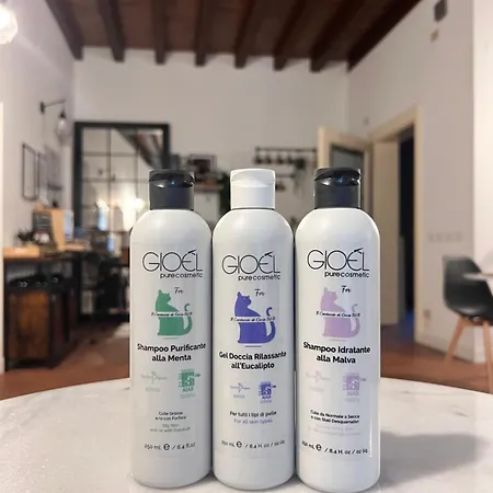 Frühstückspension Il Cantuccio Di Gioia 4*
